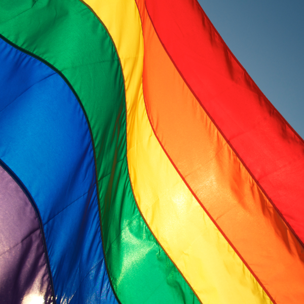 LGBTQ+ & Allies Resource group - photo of a rainbow colored flag.